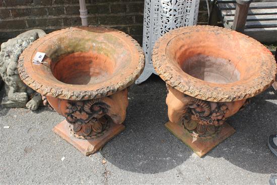 Pair terracotta rams head garden urns (one a.f.)